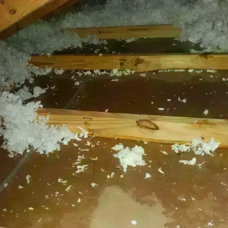 Attic Water Damage in Helena Valley West Central, MT