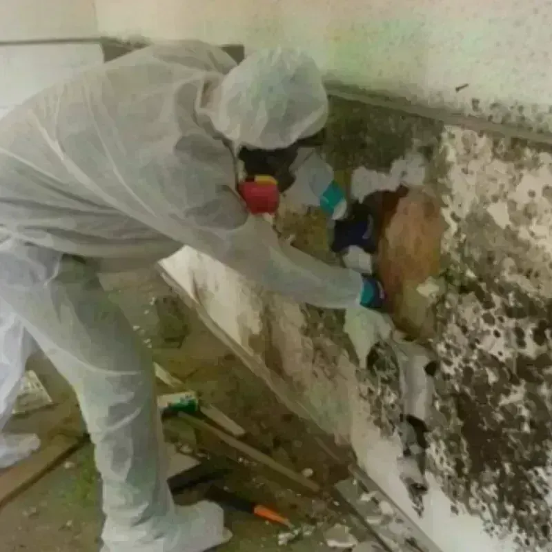 Mold Remediation and Removal in Helena Valley West Central, MT